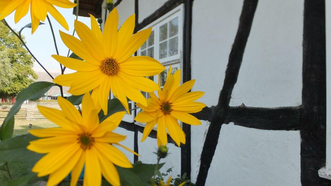 Ferienwohnung "Schonzeit" Graal-Mueritz Kültér fotó